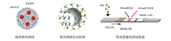 黃曲霉毒素B1熒光定量快速檢測(cè)系統(tǒng) 黃曲霉毒素B1熒光定量快速檢測(cè)系統(tǒng)